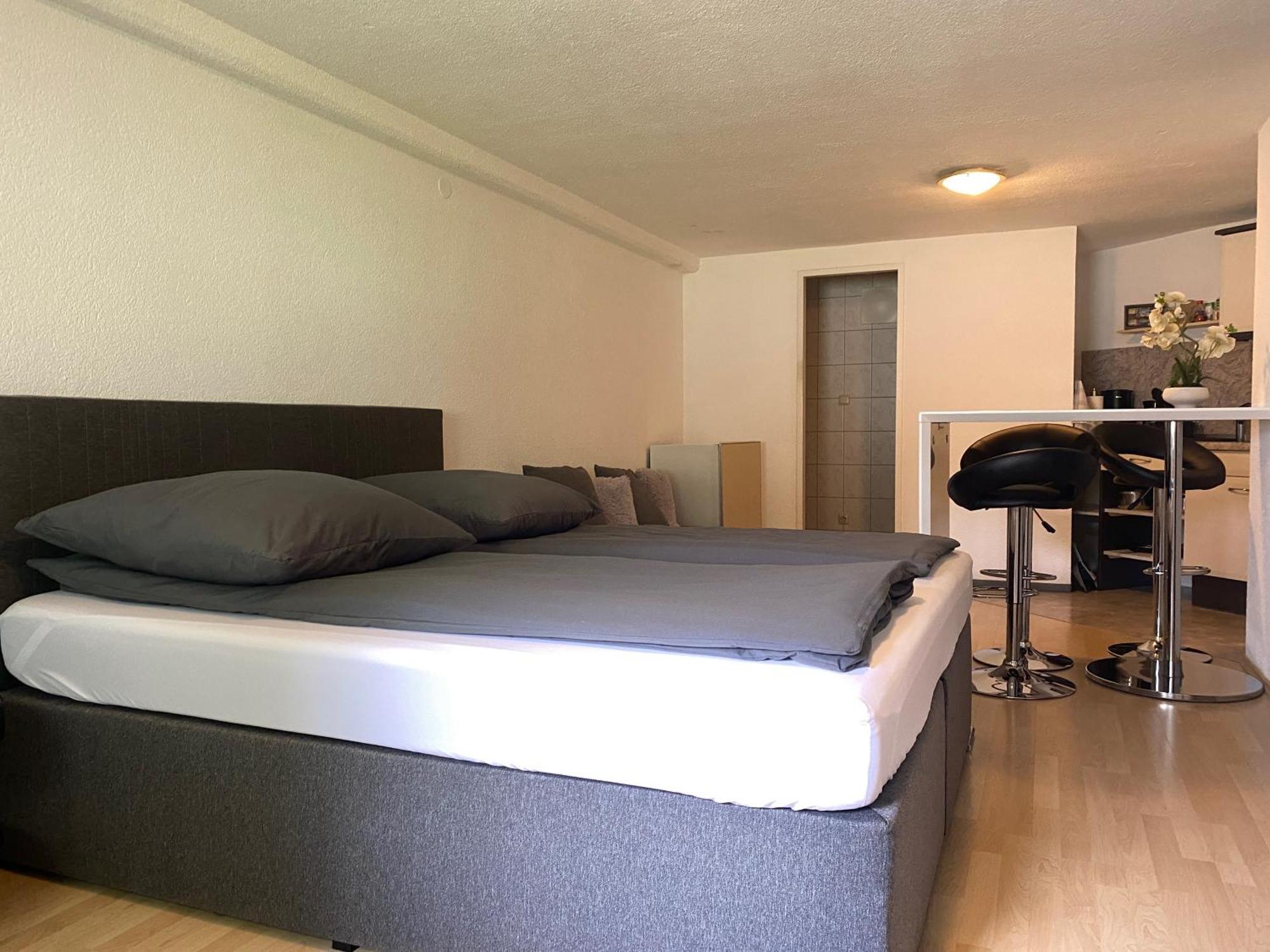 Charmante, Ruhige In Appartement *